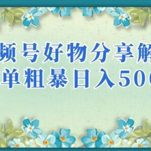 2023视频号好物分享项目解析 低门槛可批量复制实操玩法指南-雨叶虚拟资源网