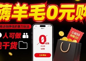 主流电商平台0元购薅羊毛玩法 新手可做副业增收实操教程-雨叶虚拟资源网