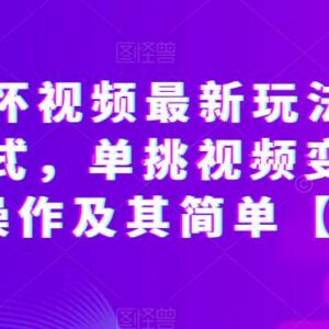 抖音怀旧情怀视频最新玩法 单条变现超千的实操全攻略-雨叶虚拟资源网