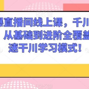千川投流从基础到进阶系统教程 玩转付费投放撬动直播间自然流-雨叶虚拟资源网