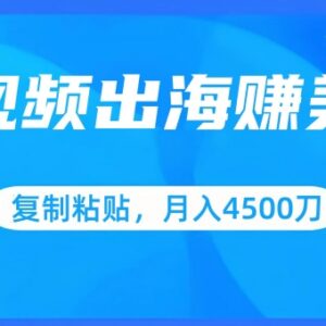 短视频出海赚美金实操教程 新手可批量操作月入4500美元-雨叶虚拟资源网