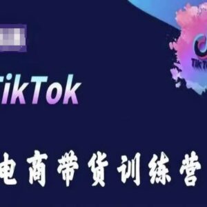 TikTok跨境电商带货训练营 海外掘金全流程运营实操学习课程-雨叶虚拟资源网