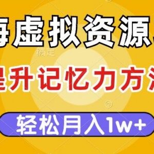 记忆力提升虚拟资源蓝海项目 多种变现模式操作方法详解-雨叶虚拟资源网