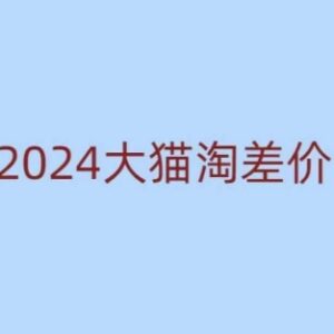2024版大猫淘差价课程 新手无货源电商开店运营全流程教程-雨叶虚拟资源网