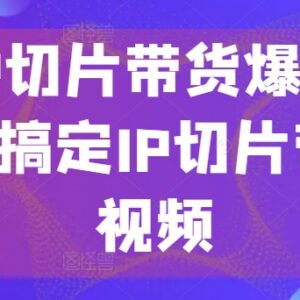 0基础学明星IP切片带货 全流程实操到爆单系统教程-雨叶虚拟资源网