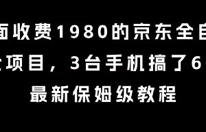 京东全自动掘金项目保姆级教程 附全套操作工具与落地玩法-雨叶虚拟资源网