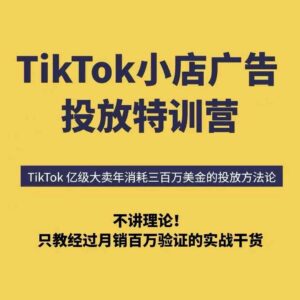 TikTok小店广告投放6天特训营 月销百万实战方法破解投不动难题-雨叶虚拟资源网