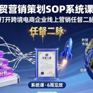 外贸营销策划SOP系统课程 跨境电商企业线上营销实操提升教程-雨叶虚拟资源网