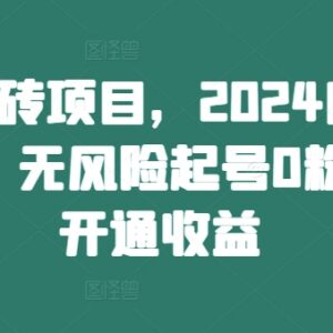 2024头条搬砖项目内部新玩法 0粉无风险起号即可开通收益-雨叶虚拟资源网