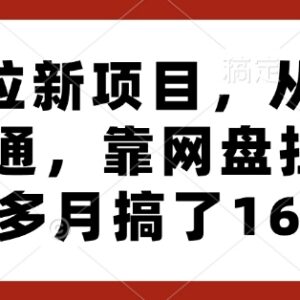 网盘拉新项目从入门到精通教程 3个月变现16万实操玩法详解-雨叶虚拟资源网