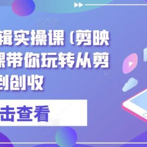 剪映全能剪辑实操教程 从入门到创收全流程系统教学-雨叶虚拟资源网