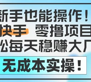 新手可操作的无成本快手零撸项目 空闲时间做日入200-500元-雨叶虚拟资源网