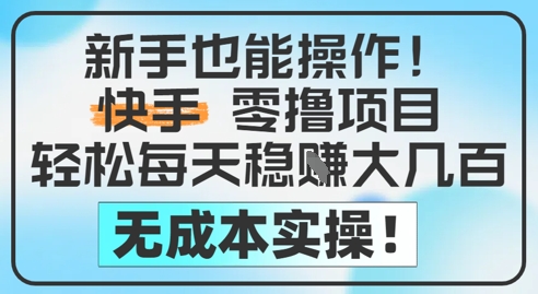 新手可操作的无成本快手零撸项目 空闲时间做日入200-500元