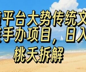 传统文化民族手办轻量副业指南 门槛低易上手适合多类人群操作-雨叶虚拟资源网