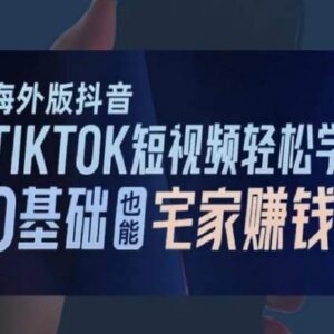 0基础TikTok运营入门教程 宅家学海外短视频变现实用技巧-雨叶虚拟资源网