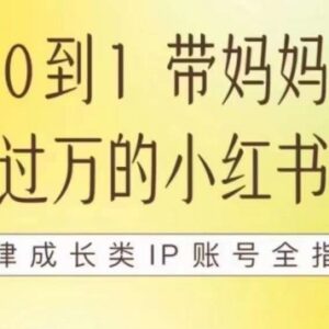 100天小红书训练营7期 成长IP账号从0到1运营变现全指南-雨叶虚拟资源网