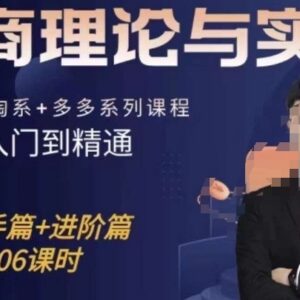 抖店淘系拼多多电商实操全课程 从新手入门到进阶精通-雨叶虚拟资源网