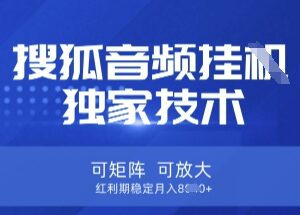搜狐音频挂机独家操作教程 可矩阵放大红利期稳定获得收益-雨叶虚拟资源网