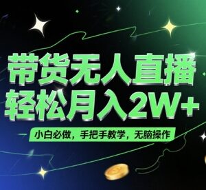 零门槛无人直播带货实操攻略 小白可上手附完整学习资料-雨叶虚拟资源网