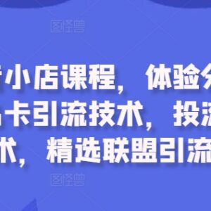 2024抖音小店系统运营课程 含体验分拉升商品卡引流投流技巧-雨叶虚拟资源网