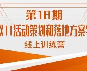 南掌柜第18期淘系双11活动策划与落地方案实战线上课-雨叶虚拟资源网