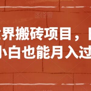 QQ小世界搬砖项目实操指南 零基础小白可落地副业玩法详解-雨叶虚拟资源网