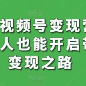 微信视频号变现营系统课 普通人零基础入门带货变现实操教程-雨叶虚拟资源网
