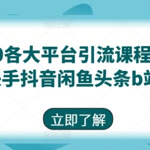 9.0版各大平台引流课程 覆盖小红书抖音快手闲鱼B站等渠道-雨叶虚拟资源网