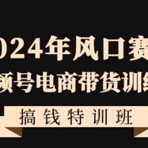 2024视频号电商带货特训营 零基础快速入局自媒体风口赛道-雨叶虚拟资源网