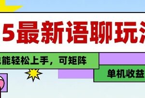 2025年最新语聊变现玩法 纯手工单机收益100+小白易上手可矩阵-雨叶虚拟资源网
