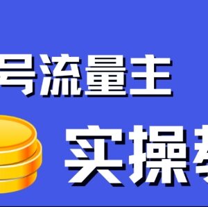 公众号流量主项目实操指南 0粉搬运单篇爆文收益可达2000+-雨叶虚拟资源网
