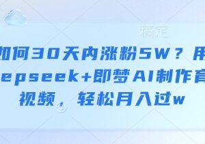 DeepSeek搭配即梦AI制作育儿视频 30天涨粉5W变现实操教程-雨叶虚拟资源网