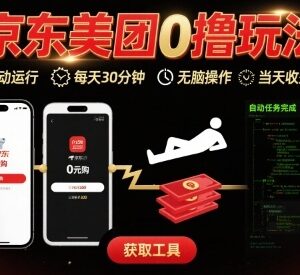 京东美团最新零撸全自动挂机玩法 低操作门槛当日可获收益-雨叶虚拟资源网