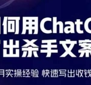 ChatGPT写高转化收钱文案实操教程 6个月经验教你快速出稿-雨叶虚拟资源网