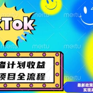 2024TikTok创意者计划开通条件 变现方法及合规高收益指南-雨叶虚拟资源网