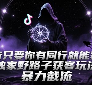 2025抖音同行获客暴力截流玩法 零基础精准引流实操指南-雨叶虚拟资源网