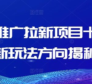 2024年10月短剧推广拉新项目最新玩法 分粉丝量级实操指南-雨叶虚拟资源网