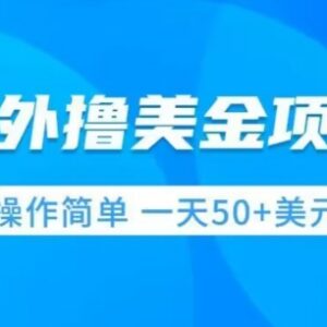 无门槛撸美金实操项目教程 小白易上手可实现日入50美刀-雨叶虚拟资源网