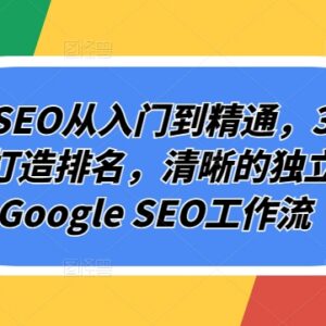 谷歌SEO从入门到精通30讲 独立站排名优化全流程工作流教程-雨叶虚拟资源网