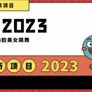 12月最新男粉副业项目：AI换脸美女跳舞玩法可实现日入过千-雨叶虚拟资源网