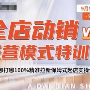 2024深圳全店动销经营模式特训营 精准拉新起店实操课程分享-雨叶虚拟资源网
