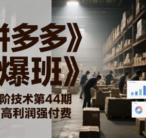 拼多多打爆班第44期 高利润强付费低利润微付费运营实操教程-雨叶虚拟资源网