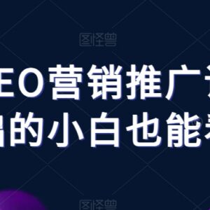 零基础小白可学的谷歌SEO营销推广课 覆盖全模块实操知识点-雨叶虚拟资源网