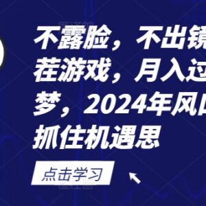 2024年不露脸不出镜找茬游戏赚钱项目 新手低门槛实操教程-雨叶虚拟资源网