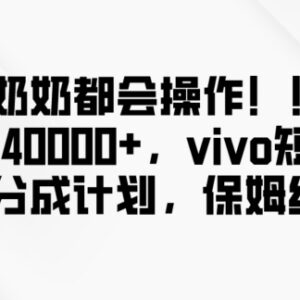 vivo短视频创作分成计划玩法揭秘 低门槛操作单月收益可达4万+-雨叶虚拟资源网
