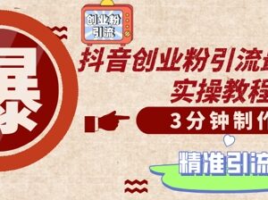 抖音创业粉安全引流技巧 低门槛制作原创视频日加精准粉500+-雨叶虚拟资源网