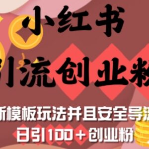 小红书引流创业粉新模板玩法 安全导流日引100+实操指南-雨叶虚拟资源网