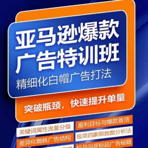 亚马逊爆款广告特训课程 掌握关键词搭建优化方法提升旺季销量-雨叶虚拟资源网