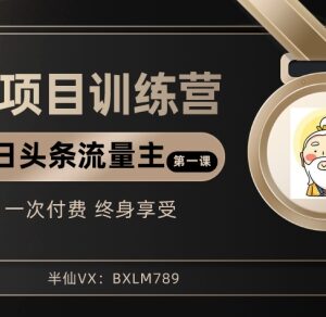 AI项目系列训练营干货 公众号流量主及今日头条实操玩法-雨叶虚拟资源网