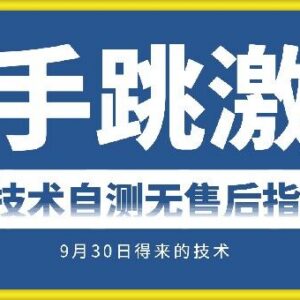 2024快手账号跳激活技术自测教程 会员专属内部学习资源-雨叶虚拟资源网